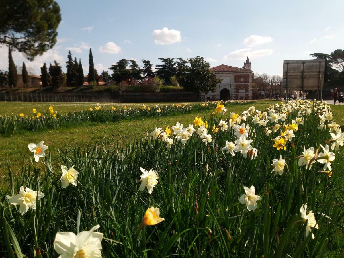 Verona Bottego Guest House Екстериор снимка